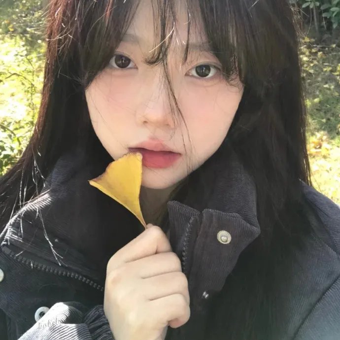 藤本树